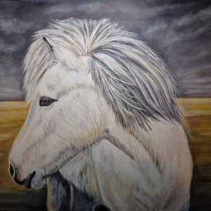 Horse original acrylic painting